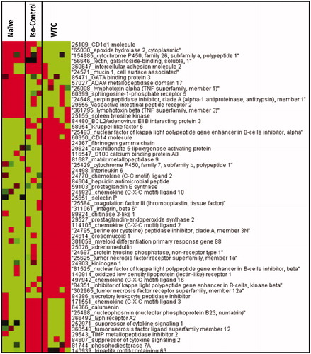 Figure 2. Heat-map for relative expression of genes involved in inflammatory response in naïve rats and those exposed to only ISO anesthesia or WTC dust (under ISO anesthesia). Genes were clustered using Eisen’s Cluster Analysis with median centering and average linkage. Resulting clusters were visualized with Treeview. Red = genes with higher expression values than median; green = genes with lower expression values than median; black = median expression. Gene list was truncated to fit in the figure and for clarity.