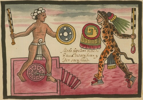 Figure 3. ‘Gladiatorial’ sacrifice, from the Tovar Codex, c.1585 [Library of Congress, Jay I. Kislak Collection].