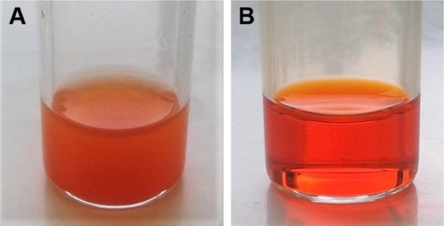 Figure 9 Conversion of Dox HCl dispersion (A) in acetone/methanol into a Dox-FB solution (B) after overnight reaction with TEA.Abbreviations: Dox, doxorubicin; HCl, hydrochloride; FB, free base; TEA, triethylamine.