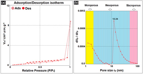 Figure 2. N2 adsorption–desorption isotherms (a) and the corresponding pore size distributions (b) for BNPs@Cur-Pd nanocatalyst.