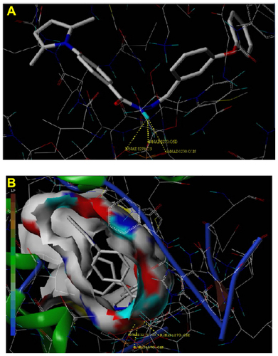 Figure 5 (A) and (B) Docked view of ligand (compound 4e) in B chain of PDB 2X22.