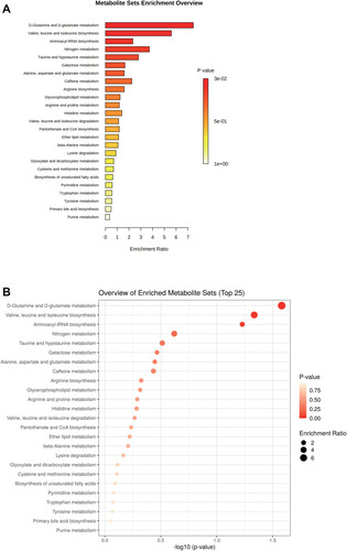 Figure 3 Enrichment and pathway analysis of differential metabolites. (A) Bar plot of KEGG pathway analysis of differential metabolites; (B) dot plot of KEGG pathway analysis of differential metabolites.