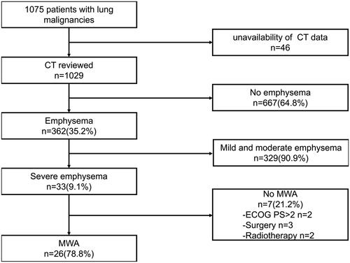 Figure 1. Flow chart of the eligibility process for the study. CT: computed tomography imaging; MWA: microwave ablation; ECOG PS: Eastern Cooperative Oncology group performance status.