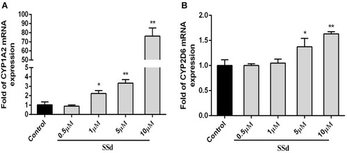 Figure 3 Effects of SsD on mRNA expression of CYP1A2 and CYP2D6 in HepaRG cells. Relative mRNA expression of (A) CYP1A2 and (B) CYP2D6 in HepaRG cells treated with series concentrations of SsD (0.5, 1, 5, and 10 µM) for 72 hours. Results presented as means ± SD (n = 3). *p<0.05, **p <0.01 compared with blank control.