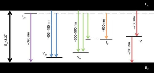 Figure 6 Schematic diagram showing the possible radiative transitions in ZnO due to various defects, such as Zn and O interstitials, and vacancies.Notes: The diagram was used to identify the origin of various bands and peaks in the PL spectra from the postprocessed ZnO nanostructures shown in Figure 7. Data from Faber et al.Citation24Abbreviations: EC, conduction band edge; Eg, band gap energy; EV, valence band edge; IO, oxygen interstitials; IZn, Zn interstitials; PL, photoluminescence; VO, oxygen vacancies; VZn, zinc vacancies.