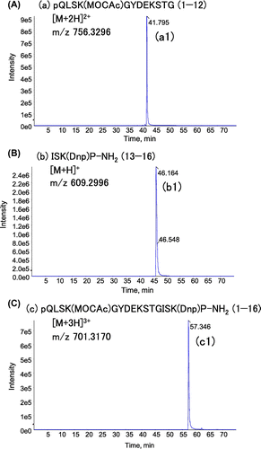 Fig. 7. Notes: XICs corresponding to the most abundant adducts for the strongly-detected group of peptides in LC–MS/MS analysis of fluorescent peptide digested with pepsin. XICs were generated from the data-set used in Fig. 6(A), with m/z values corresponding to the indicated adducts. The retention times for peak a1, b1, and c1 in (A), (B), and (C), are identical to those of peak a, b, and c in TIC shown in Fig. 6(A).
