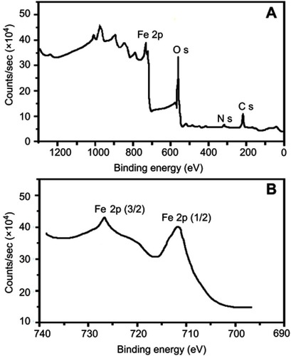 Figure 5 X-ray photoelectron spectroscopy spectrum of iron oxide quantum dot nanoparticles (QDNPs) (A) and the narrow scan of iron oxide QDNPs 2p-electrons (B).