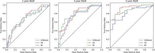 Figure 4 Model AUCs for one-, three-, and five-year R&M model with 11 predictors. The curves for models (logistic regression (LR), extreme gradient boosting (XGBoost), random forest (RF) regression) in recurrence and metastasis (R&M) of non-metastatic colon cancer. The 45-degree straight line represents that the model has similar chances of correctly classifying patients with vs patients without events.