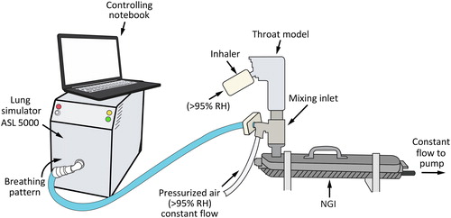Figure 2. Experimental set-up for measuring deposition in the mouth–throat model (Alberta throat). NGI: Next Generation Impactor; RH: relative humidity.