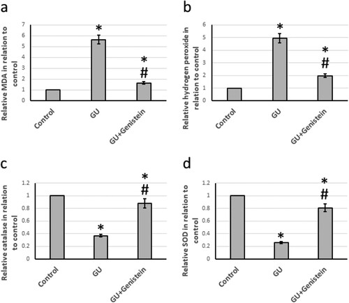 Figure 3. Effect of gastric ulcer (GU) and 25 mg/kg genistein on gastric oxidative stress and antioxidant markers. (a) Malondialdehyde (MDA), (b) hydrogen peroxide, (c) catalase and (d) superoxide dismutase (SOD) levels. * Significant difference as compared with control group at p < 0.05. # Significant difference as compared with GU group at p < 0.05.