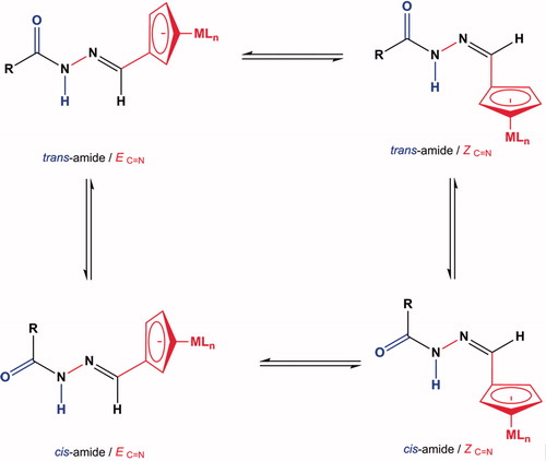 Figure 2. General structure of possible Z/E geometrical isomers and cis/trans amide rotamers of organometallic-acylhydrazones.