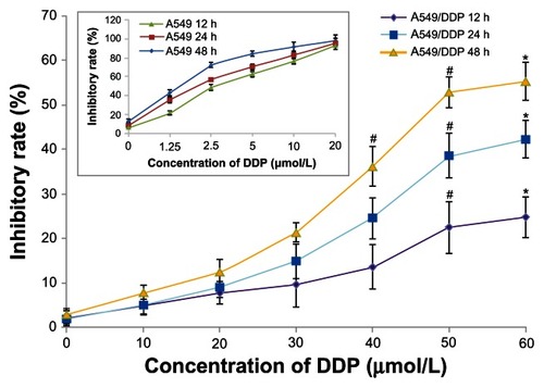 Figure 2 Inhibitory effect of DDP on A549 cells and DDP-resistant A549 cells.Notes:#P < 0.05 versus control group; *P > 0.05, no difference between 50 μmol/L DDP and 60 μmol/L DDP at the same time point.Abbreviation: DDP, cisplatin.