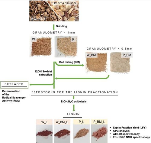 Figure 1. Schematic representation of the ethanosolv process used for the lignin fractionation from walnut and pistachios shells. Samples subjected to a ball milling pre-treatment are indicated with the acronymous BM.