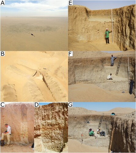 Figure 2. EDAR 135 site. A) Aerial photography of mining shaft complex; EDAR 135 marked with black arrow; B) aerial photography of the EDAR 135 site; C) eastern profile of mining shaft with marked (red dots) places of OSL S4 and S5 (below) sampling places; D) northern profile; E) northern profile before upper level excavations (MSA); F) removing sterile sediments above the lower horizon; and, G) excavating lower horizon (Acheulean).