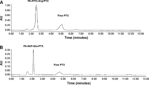 Figure S4 Release of PTX from FA-FITC-Arg-PTX and FA-5AF-Glu-PTX according to incubation time in phosphate-buffered saline (pH 7.4) or human plasma at 37°C.Notes: (A) HPLC for incubation of FA-FITC-Arg-PTX in human plasma at 37°C, showing the peak for free PTX at 4 hours. (B) HPLC for incubation of FA-5AF-Glu-PTX in human plasma, showing the peak for free PTX at 4 hours.Abbreviations: 5AF, 5-aminofluorescein; FA, folic acid; FITC, fluorescein isothiocyanate; HPLC, high-performance liquid chromatography; PTX, paclitaxel.