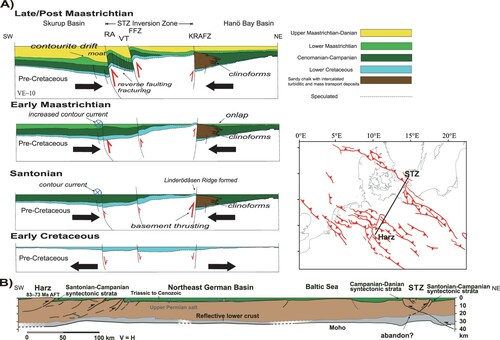 Figure 10. A. Schematic reconstruction of the chalk-related tectono-sedimentary evolution across the STZ in the Bornholm Gat area. B. Cross-section from the Harz mountains to the STZ (modified from Kley & Voigt (Citation2008)) showing crustal configuration of the intraplate foreland basins and the STZ. Note the updated geometry and kinematic of the Late Cretaceous inversion in the STZ from this work.