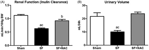 Figure 2. N-acetylcysteine (NAC) attenuates renal dysfunction and improves urinary volume. (A) Inulin clearance studies. (B) Urinary volume (mL/24 h). SF (Star fruit group), SF + NAC: star fruit + NAC therapy, Sham: control group. Data are mean ± SEM; ap < .001, bp < .01 vs. Sham; cp < .001, dp < .01 vs. SF + NAC.