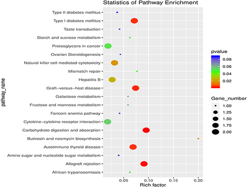 Figure 11 Identification the biological role of exosomal circRNAs by KEGG analysis. The related biological pathways were analyzed by Kyoto Encyclopedia of Genes and Genomes (KEGG). The top 20 terms were presented.