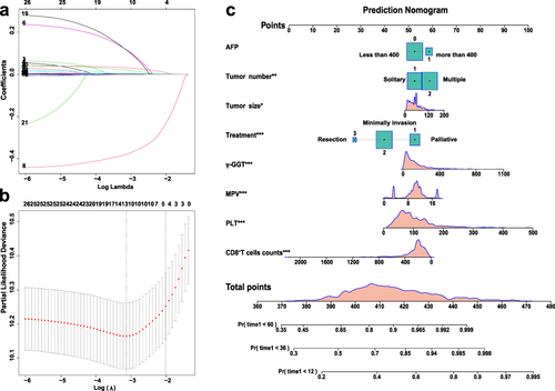 Figure 1 Visualization of elastic-net regression screening indicators and nomogram for predicting HCC patient with PVTT prognosis. (a) Elastic-net coefficient profiles of the 26 risk factors. (b) 10 risk factors selected using Elastic-net Cox regression analysis. The two dotted vertical lines were drawn at the optimal scores by minimum criteria(left) and 1-s.e. criteria(right) (At minimum criteria including: tumor number, tumor size, treatment, WBC, Hgb, PLT, BUN, ALT, AST, TBIL, ALB, γ-GGT, PTA, AFP, MPV, PCT, P-LCR, PDW, T cells/Lymphocytes, CD8+T cells counts, CD4+T cells counts). (c) Nomogram for predicting the 1, 3, 5-year-Overall Survival probability in HCC patient with PVTT. When using the nomogram, find the position of each variable on the axis and the corresponding point vertically. Then, add the points of all variables, and determine the prediction probability of OS in different 3 years on the bottom axis. The green represents categorical variables and the red represents continuous variables, and the filled portion represents the data distribution for constructing the nomogram model. The symbol “*” represents the significance of the p-value, that is, “*” indicates p=0.033, “**” indicates p=0.008, and “***” indicates ≤0.001.