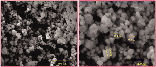 Figure 5. SEM images of silver nanoparticles.
