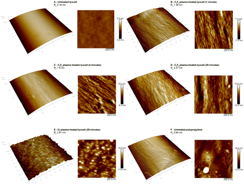 Figure 3. AFM micrographs of untreated and plasma treated fibre surfaces. (A) Untreated lyocell fibre surface; (B) C2F6 plasma-treated lyocell fibre surface after 1 min exposure; (C) C2F6 plasma-treated lyocell fibre surface after 4 min exposure; (D) C2F6 plasma-treated lyocell fibre surface after 20  min exposure; (E) O2 plasma-treated lyocell fibre surface after 20  min exposure; (F) untreated polypropylene fibre surface.