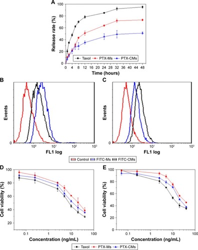 Figure 2 In vitro evaluation of micelles.Notes: (A) In vitro PTX-release profiles of Taxol and PTX-loaded micelles in PBS solution (pH 7.4) with 0.2% Tween 80 at 37°C. Fluorescence-adsorption peaks of cells treated with FITC-Ms and FITC-CMs: (B) bone-marrow macrophages; (C) A549 cells. In vitro cytotoxicity of different formulations of PTX against human cancer cells: (D) BEL7402; (E) A549.Abbreviations: PTX, paclitaxel; FITC-Ms, fluorescein isothiocyanate-loaded monomethoxy(polyethylene glycol)-block-poly(d,l-lactide) micelles; CMs, sodium cholate and monomethoxy(polyethylene glycol)-block-poly(d,l-lactide) micelles.