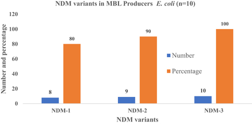 Figure 5 NDM variants in MBL Producer E. coli.