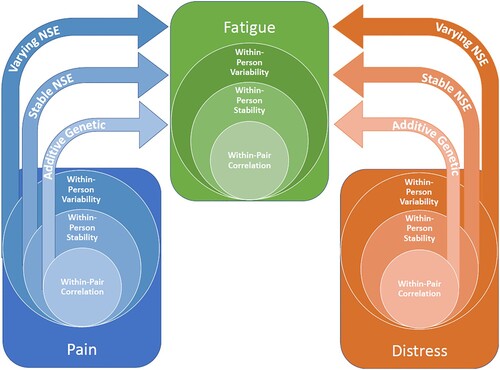 Figure 4. The multilevel regression model separates the additive genetic, stable non-shared environmental (Stable NSE) and varying non-shared environmental (varying NSE) components of the included phenotypes, and provides level-specific coefficients of distress and pain on fatigue. This is estimated through genetically weighted within-pair correlation, within-person stability and within-person variability. The model is strictly illustrative, and it should be noted that other possible models of the relationships between fatigue, pain and distress cannot be eliminated based on our findings.