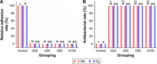 Figure 5 Relative adhesion rate of C, G20, G50, G80, G100 (A). Antibacterial rate of C, G20, G50, G80, G100 (B). The control group is significantly different with the four groups. In other words, “#”, “@”, are significantly different with “##”, “@@”, respectively. G20 (“&”) is significantly different with G50, G80 and G100 (“&&”), respectively. (P<0.001). The 20, 50, 80 and 100 µg/mL are designated as G20, G50, G80, and G100, respectively.Abbreviations: Pg, Porphyromonas gingivalis; SM, Streptococcus mutans.