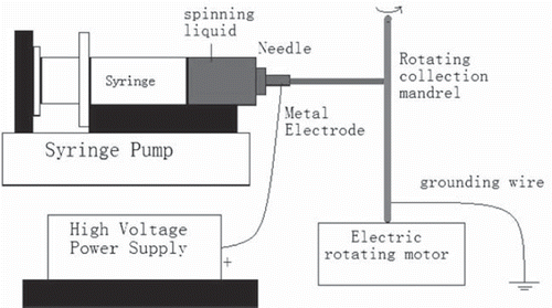 Figure 1. Schematic diagram of the electrospinning system.