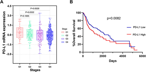 Figure 1 The expression of PD-L1 in cSCC in TCGA dataset. (A) The expression of PD-L1 in each grade of cSCC. (B) Kaplan-Meier analysis showed the prognosis value of PD-L1 in cSCC.