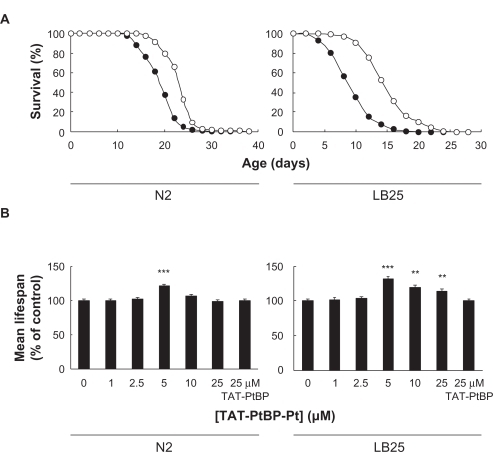 Figure 1 Effects of TAT-PtBP-Pt on the lifespan of N2 and LB25. Adult nematodes were treated with 5 μM TAT-PtBP-Pt for days 0–10. Shown are survival curves of untreated control (•) and treated (○) worms A). The number of worms was 90–95 in each experiment, and three independent experiments were repeated. The mean lifespan B) was calculated from survival curves. The concentration of Pt in TAT-PtBP-Pt was varied up to 25 μM. Effect of the fusion protein (TAT-PtBP) at 25 μM alone on the lifespan of nematodes was also studied. Error bars represent the standard error of the mean.Notes: **P < 0.01; ***P < 0.001, as compared with control worms by the log-rank test. The lifespan data are summarized in the Table.