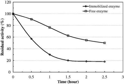 Figure 6. Thermal stability of native and immobilized bovine serum PON1 at 65 °C.