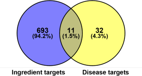 Figure 2 Venn diagram of FFZJF drug targets and CP-disease proteins.