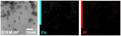 Figure 4. STEM–BF and STEM–EDX mapping images of Co-WC/C.