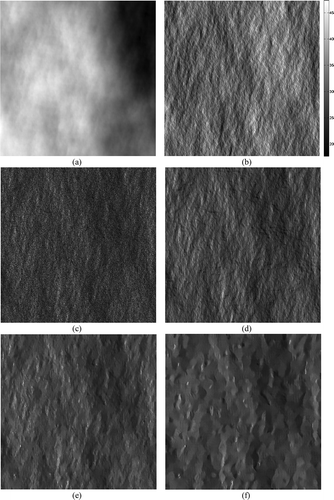 Figure 1. (a) Fractal DEM with fractal parameters H = 0.8, T = 10–5 m in the azimuth-slant range coordinate system; resolution is 2.58 m and 2.29 m in azimuth and slant-range respectively; (b) local incidence angle map in the azimuth-slant range coordinate system; (c) 512×512 single-look SAR image corresponding to the DEM in (a) and to the electromagnetic parameters εr = 4 and σ = 10–2 S/m; (d) reference image obtained by averaging 512 single-look sample images; (e) SB-PPB with a priori scattering information estimated from (b) and assuming the right values for the surface parameters; (f) PPB with four iterations.