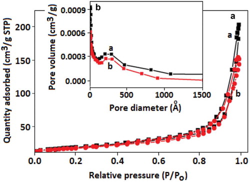 Figure 4. (A) Nitrogen adsorption and desorption isotherms and (B) pore size distribution of the (a) CN and (b) Au-CN.