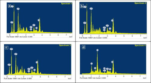 Figure 6. The EDS micrograph of biosynthesized AgNPs by different Alternaria species: A. alternata PNU71 (a), A. chlamydospora PNU09 (b); A. solani PNU11 (c); A. alternata PNU75 non-producing AgNPs (d).