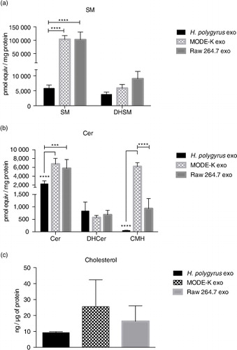 Fig. 4.  Nematode-derived exosomes have reduced cholesterol and SM in comparison to murine exosomes. (a and b) Quantities of the SL classes in nematode and murine exosomes. Data correspond to the mean±SD (n=3 biological replicates for nematode- and MODE-K-derived exosomes and n=2 biological replicates for Raw 264.7 exosomes) (**p<0.01, ***p<0.001, ****p<0.0001; ANOVA and Tukey's multiple comparisons test). (c) Cholesterol levels of nematode compared with murine exosomes assessed by the Amplex Red cholesterol assay kit using 3 µg of exosomes (protein content) per measurement. Data represent the mean±SD with n=3 biological replicates.