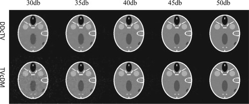 Figure 9. The reconstructed FORBILD images of DDcTV- (the first row) and TVcDM-CP (the second row) algorithms from projection data of SNR of 30db, 35db, 40db, 45db and 50db.