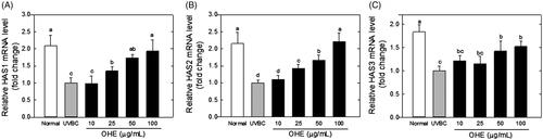 Figure 1. mRNA expression of HAS1, HAS2 and HAS3 in UVB-irradiated HaCaT cells was affected by OHE treatment in a dose-dependent manner. (A) HAS1 mRNA levels, (B) HAS2 mRNA levels, (C) HAS3 mRNA levels. All results expressed a one-fold change compared to the UV-treated control group (UV-Con). HAS: hyaluronic acid synthase; OHE: O. humifusa extract; Normal: untreated HaCaT cells; UVBC: UVB-irradiated HaCaT cells (without OHE treatment). The values are the mean ± standard deviation (SD) (n = 3). Different letters indicate significant differences (p < 0.05) among the treatments as indicated by Duncan’s multiple range test.