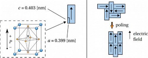 Figure 6. Schematic representation of strain development due to ferroelectric domain reorientation during the poling process [Citation16].