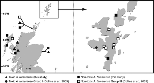 Fig. 4. Locations of toxin- and non toxin-producing Alexandrium tamarense established in culture during this study. Cultures of A. tamarense Groups I and III detailed in Collins et al. (Citation2009) are included.