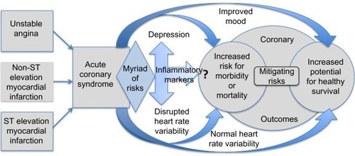 Figure 1 Representation of potential coronary outcome pathways related to mood and heart rate variability after an episode of acute coronary syndrome, ie, unstable angina, non-ST elevation myocardial infarction, or ST elevation myocardial infarction.