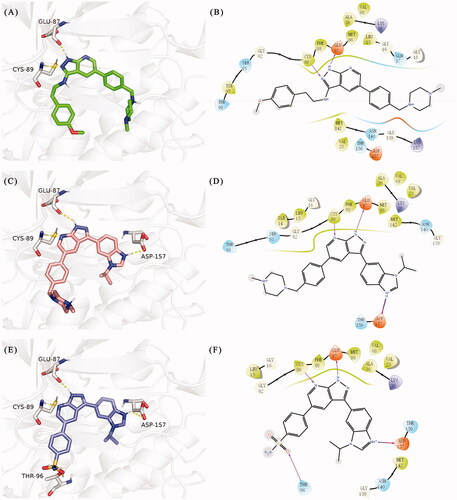 Figure 4. (A) The binding mode of 12f (coloured by element with carbons in green) in the TBK1 active site. (B) 2D diagram of the interaction between compound 12f and TBK1. (C) The binding mode of 15e (coloured by element with carbons in salmon pink) in the TBK1 active site. (D) 2 D diagram of the interaction between compound 15e and TBK1. (E) The binding mode of 15i (coloured by element with carbons in slate) in the TBK1 active site. (F) 2D diagram of the interaction between compound 15i and TBK1. The kinase was depicted in white cartoon, and interactions were illustrated with yellow dashed lines.