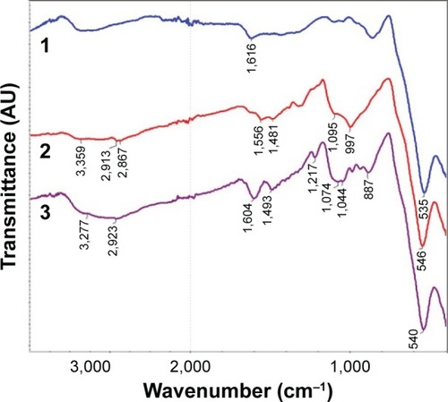 Figure 4 FTIR spectra of (1) parent MNPs, (2) APS-modified MNPs, and (3) MNPs-NH2·HCl.Abbreviations: APS, 3-aminopropylsilane; FTIR, Fourier transform infrared; MNPs, magnetic nanoparticles.