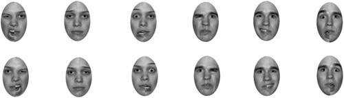 Figure 2. Examples of the NimStim chimeras created. From left to right faces represent anger, sadness, fear, disgust, happiness and surprise.