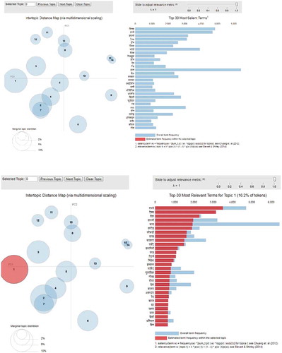 Figure 15. Interactive visualization of LDA model.