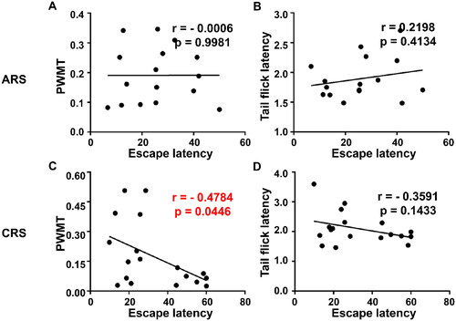 Figure 7. Correlation analysis between escape latency and pain sensitivity in ARS and CRS. (A) Correlation between escape latency and PWMT in ARS (r = −0.0006, P = 0.9981). (B) Correlation between escape latency and TFL in ARS (r = 0.2198, P = 0.4134). (C) Correlation between escape latency and PWMT in CRS (r = −0.4784, P = 0.0446). (D) Correlation between escape latency and TFL in CRS (r = −0.3591, P = 0.1433). PWMT: Paw withdrawal mechanical threshold.