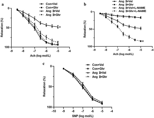 Figure 2. Ghrelin improved vascular endothelial function in Ang II-induced hypertensive mice. Ang II-induced hypertensive mice received ghrelin (30 μg/kg/day) by intra-peritoneal injection for 4 weeks. Vascular endothelial function included Ach-induced relaxation (a and b) and SNP-induced relaxation (c) in thoracic aortas from control and Ang II-induced hypertensive mice. Data were expressed as the means ± S.E.M (n = 6/group). *P<.05 vs others, one-way ANOVA followed by Newman-keuls post hoc test.